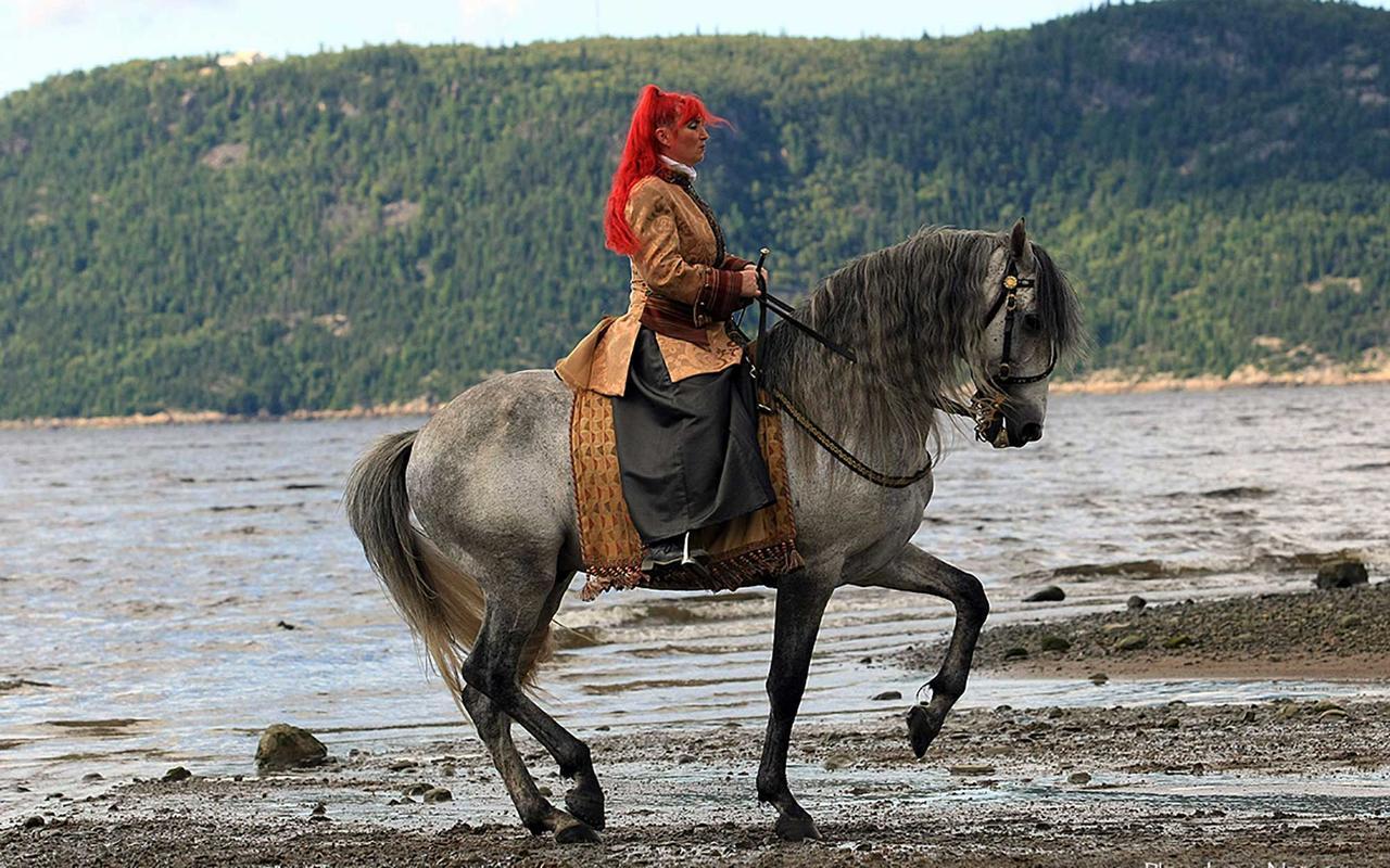 Le Ti Moose Villa La Malbaie Dış mekan fotoğraf