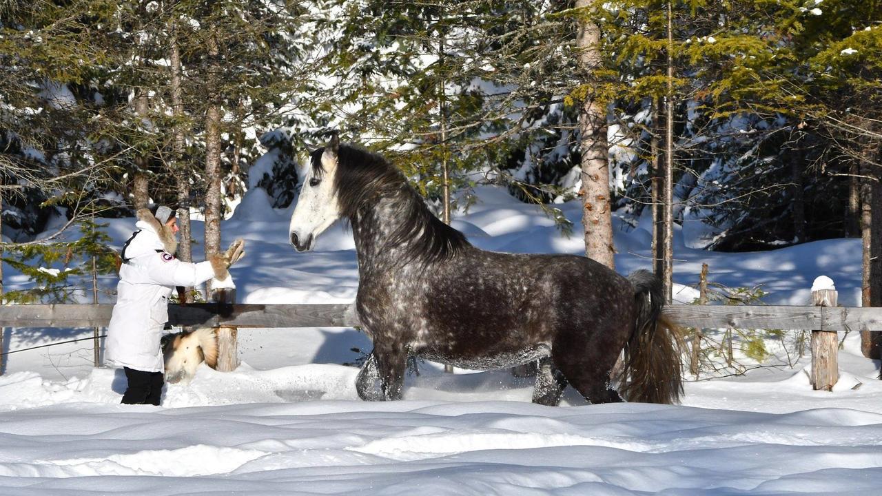 Le Ti Moose Villa La Malbaie Dış mekan fotoğraf