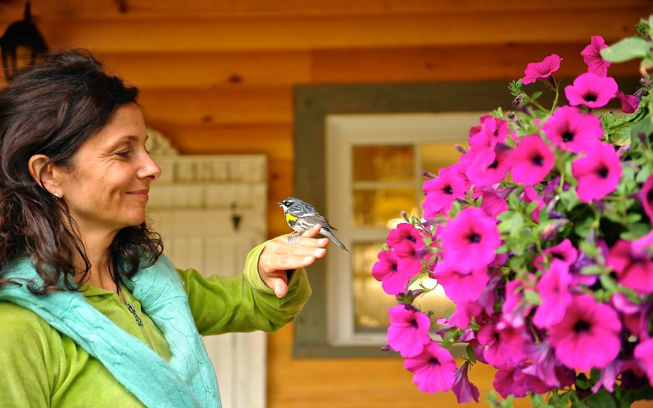 Le Ti Moose Villa La Malbaie Dış mekan fotoğraf